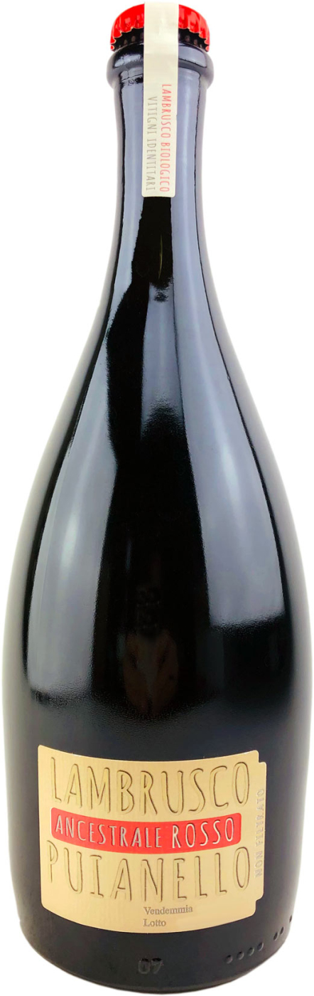 Ancestrale Rosso Lambrusco