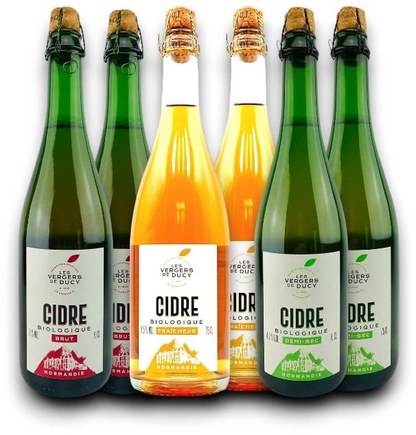 Probierpaket Bio-Cidre von der Domaine de La Flaguerie (6 x 0,75l)