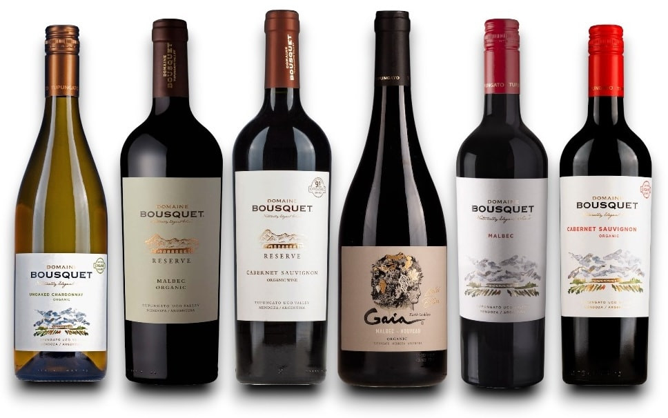Probierpaket BioWeine aus Argentinien 'Domaine Bousquet'