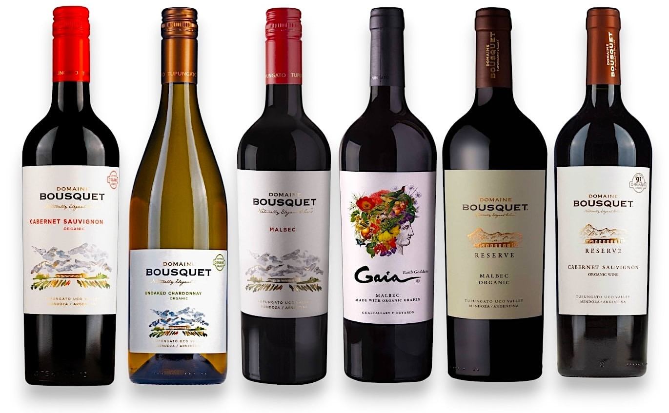 Probierpaket BioWeine aus Argentinien 'Domaine Bousquet'