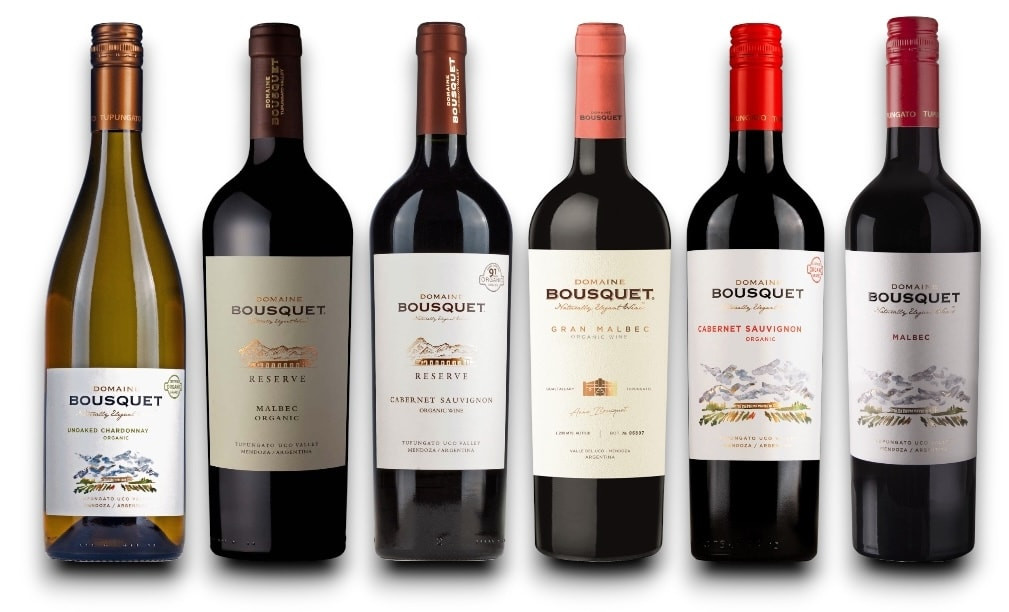 Probierpaket BioWeine aus Argentinien 'Domaine Bousquet' Version 2