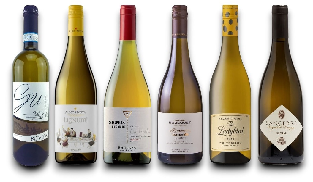 Probierpaket fassgereifte Bio-Weißweine