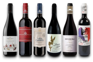 Paket Spanien Rotweine Topseller (6 x 0,75l)  