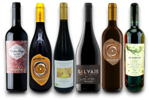 BioWeinReich,  Probierpaket schwefelfreie Premium Bio-Rotweine (6 Flaschen) 