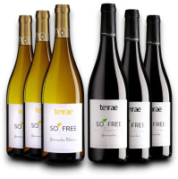 Probierpaket Tempore SO2 frei Terrae ( 6 x 0,75l )  